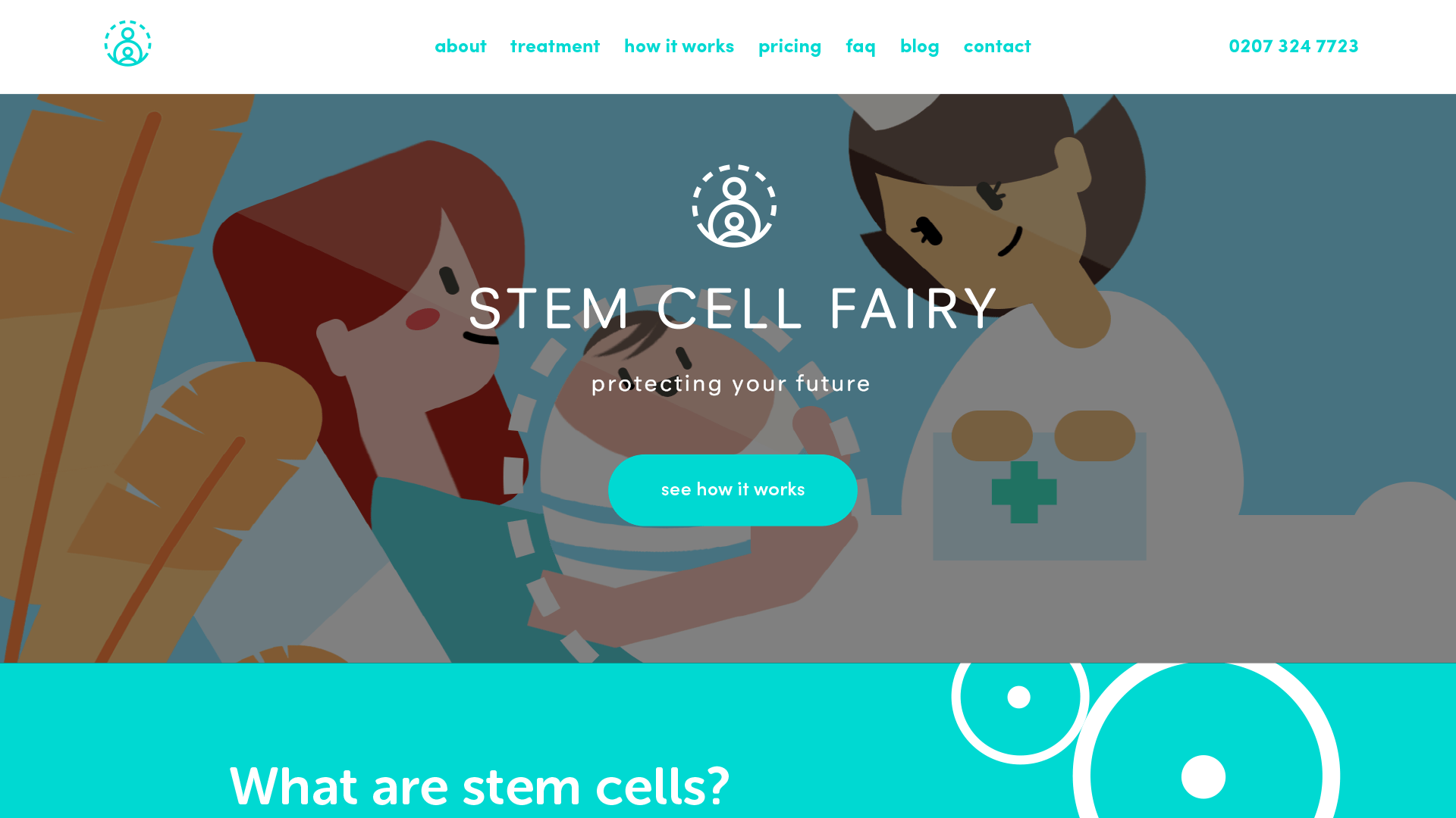 Stem Cell Fairy Desktop Website
