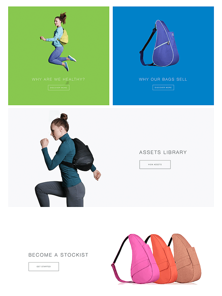 Fashion Branding for The Healthy Back Bag