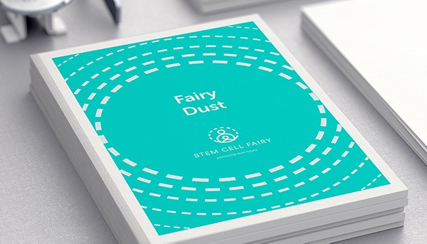 Stem Cell Fairy Branding and Web