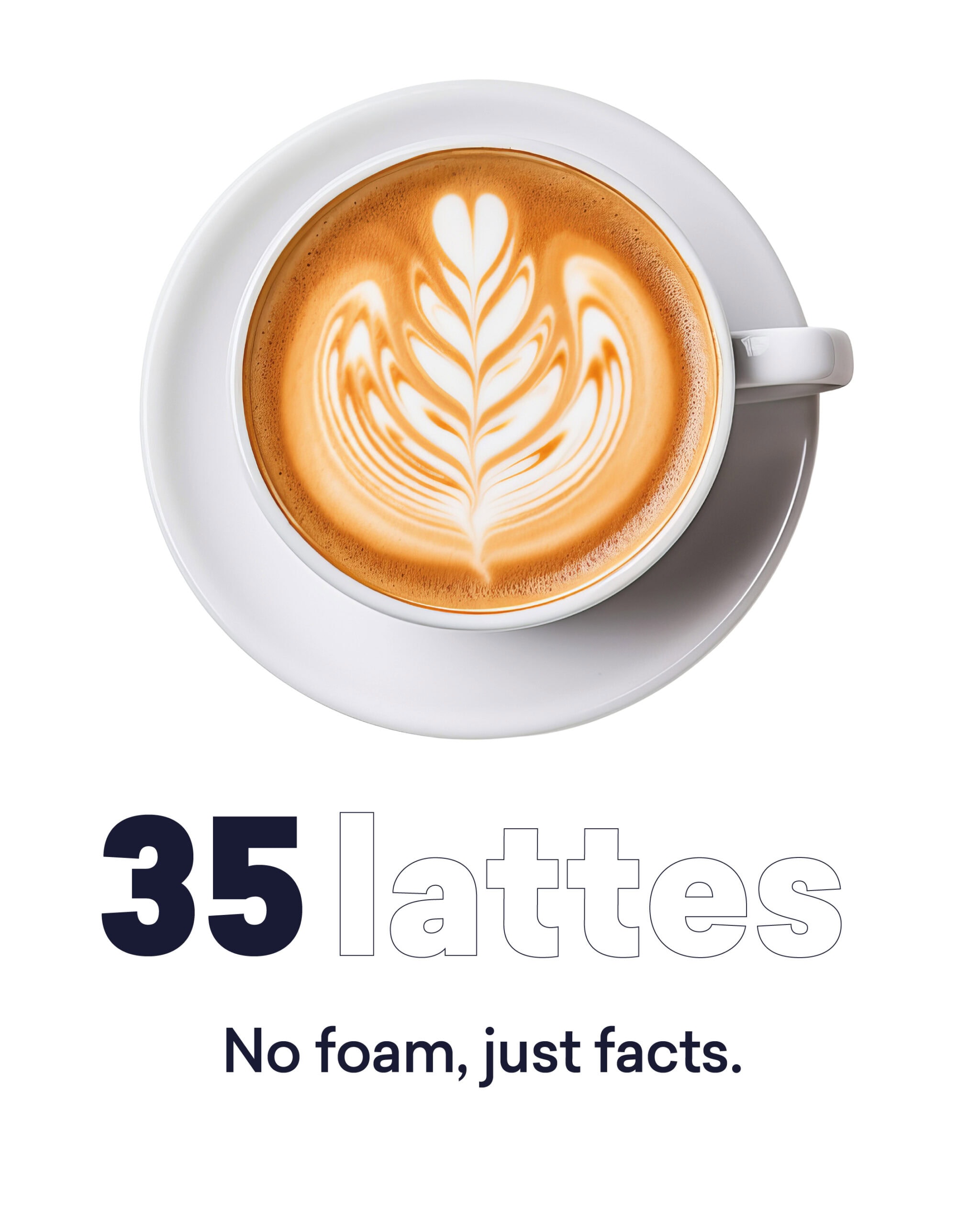 BDC Facts 1080 x 1350 02 scaled